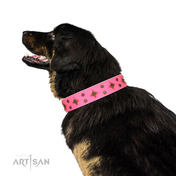 Mastiff adorned natural genuine leather dog collar for easy wearing