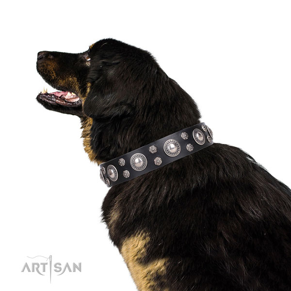 Mastiff easy wearing full grain genuine leather dog collar for fancy walking