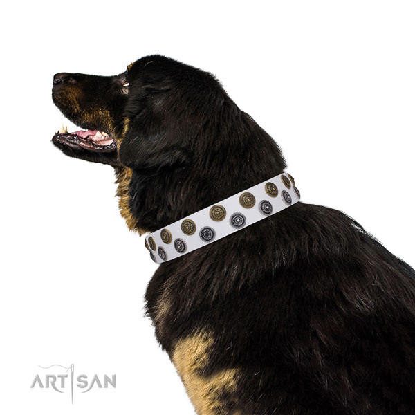 Mastiff inimitable full grain genuine leather dog collar for comfortable wearing