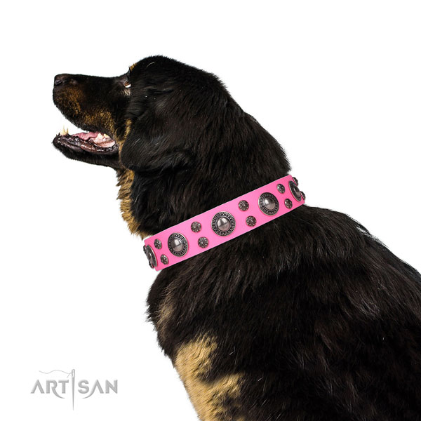 Mastiff decorated full grain genuine leather dog collar for handy use