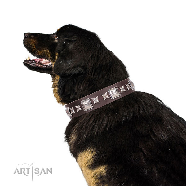 Mastiff designer leather dog collar for everyday use