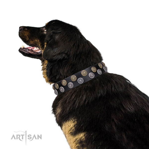 Mastiff incredible genuine leather dog collar for walking