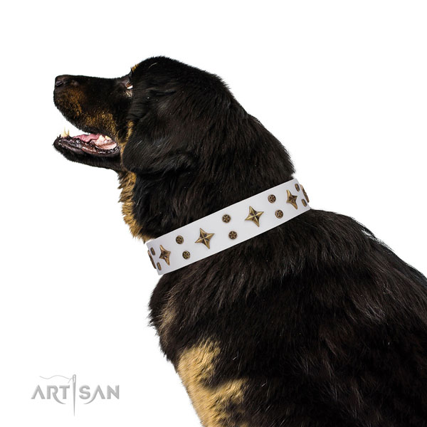 Mastiff incredible genuine leather dog collar for daily walking