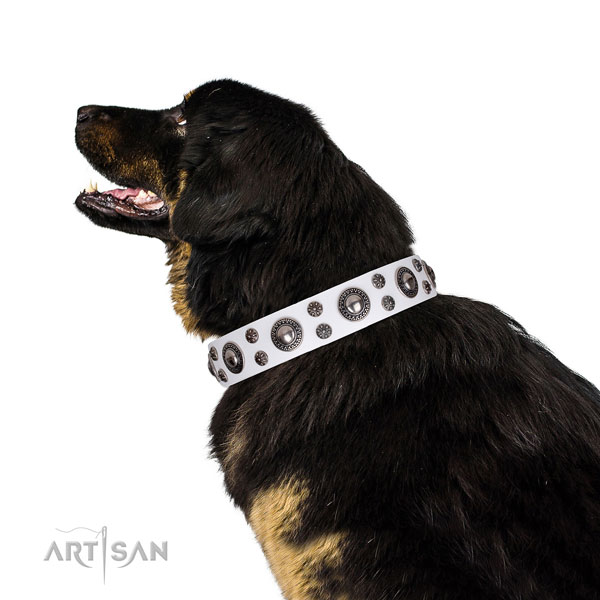 Mastiff easy to adjust full grain natural leather dog collar for basic training