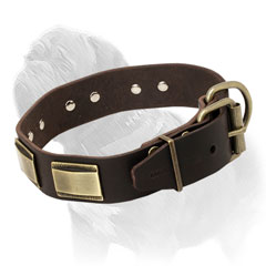 Leather dog collar for Mastiff breed with handset riveted plates
