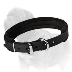Success from training is easier to achieve with this padded dog collar worn on your Mastiff