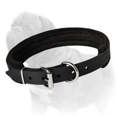 slim leather collar