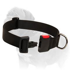 Attractive in look and reliable in service nyon collar for large Mastiff breed