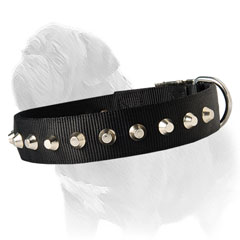 Comfortable for Mastiff dog collar