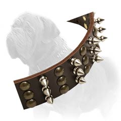 Mastiff leather collar that combines beauty, strength and comfort