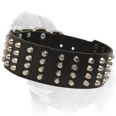 Studded Leather Collar for Mastiffs