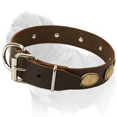 High Quality Equipment for Mastiff Walking