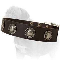 Soft Leather Collar for Mastiffs