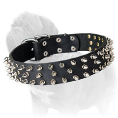 spiked dog collar