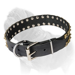 Leather Collar for Walking Mastiffs