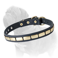 Fashion Leather Dog Collar