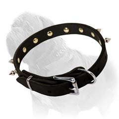 Fashionable Leather Collar with Nickel Spikes