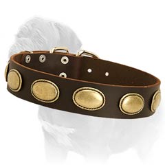Genuine Leather Collar for Fashionable Walking