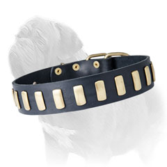 Fashion Leather Collar for Mastiffs