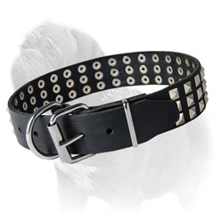 Fashionable Leather Collar for Mastiffs