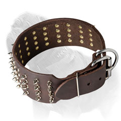 Spiked leather Mastiff dog collar