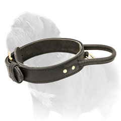 Leather Mastiff dog collar with fur protection plate
