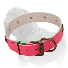 Genuine Leather Collar of Pink Collar