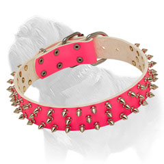 Pink Leather Collar for Mastiff She-Dogs