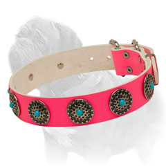 Smooth Pink Leather Collar for Walking Mastiffs