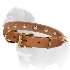 Mastiff Collar with Strong Hardware