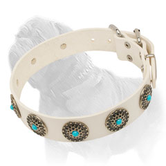 Walking Collar for Mastiffs