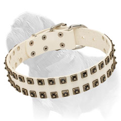 Studded White Collar Manufactured of Genuine Leather