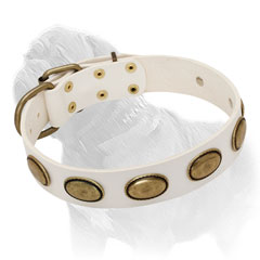 Mastiff White Leather Collar with Brass Ovals