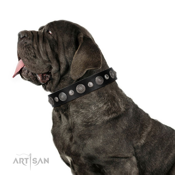 Full grain natural leather collar with reliable fittings for your impressive dog