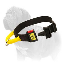 Comfortable and safe nylon collar with handle