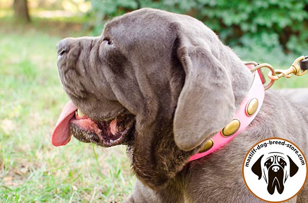 Long-lasting pink leather Mastino Napoletano collar with oval plates