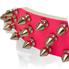 Corrosion Resistant Spikes