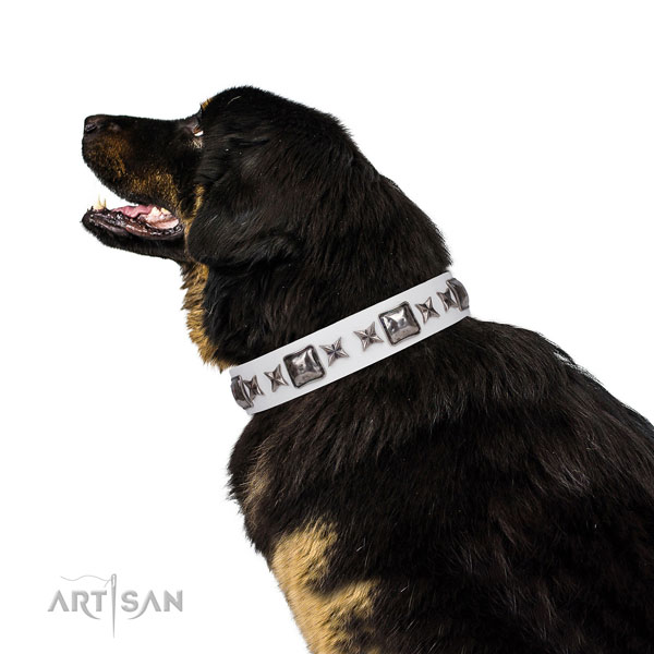 Inimitable decorated leather dog collar for fancy walking