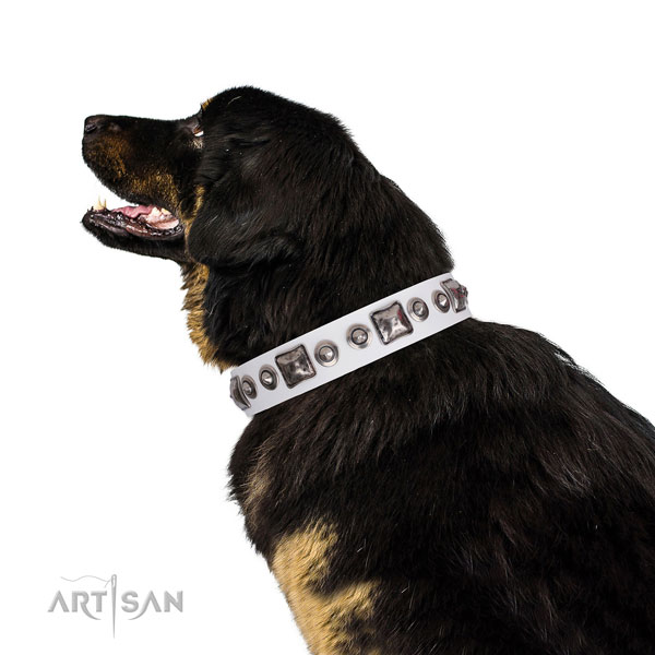 Remarkable decorated natural leather dog collar for handy use