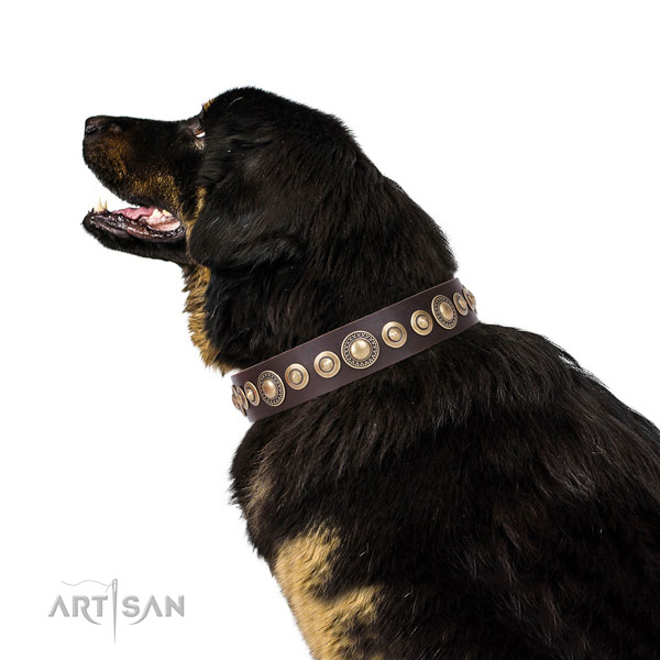 Exquisite embellished natural leather dog collar