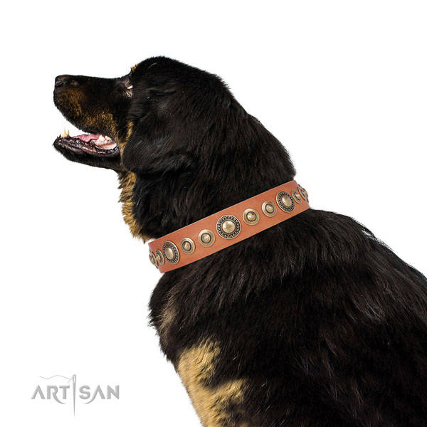 Corrosion resistant buckle and D-ring on genuine leather dog collar for daily walking