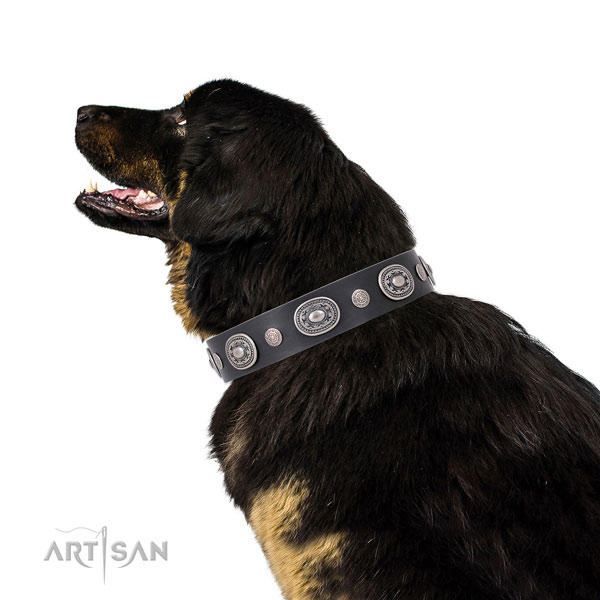 Corrosion proof buckle and D-ring on full grain leather dog collar for stylish walks