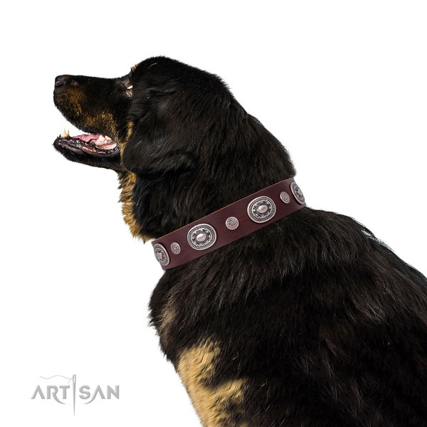 Rust-proof buckle and D-ring on natural leather dog collar for everyday walking