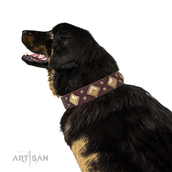 Everyday use adorned dog collar made of durable leather