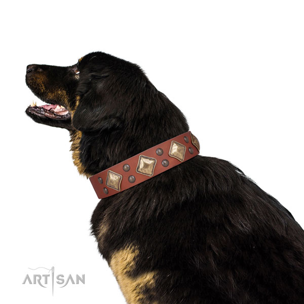 Daily use adorned dog collar made of quality genuine leather