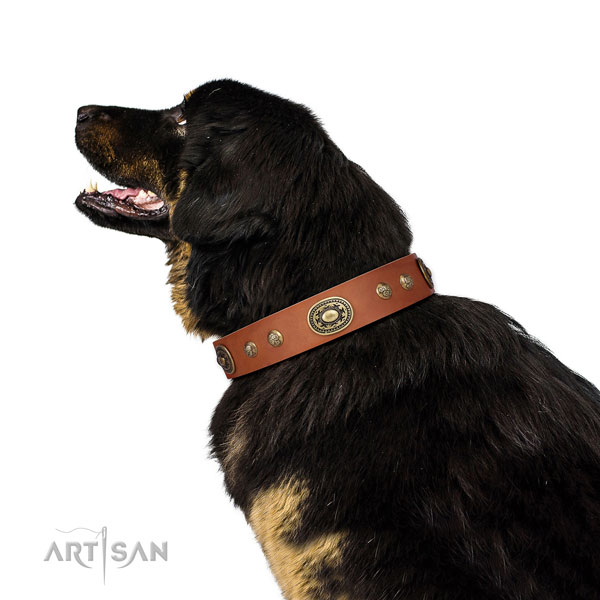 Extraordinary decorations on handy use dog collar