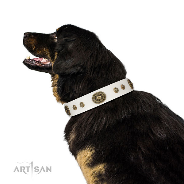 Top notch decorations on easy wearing dog collar