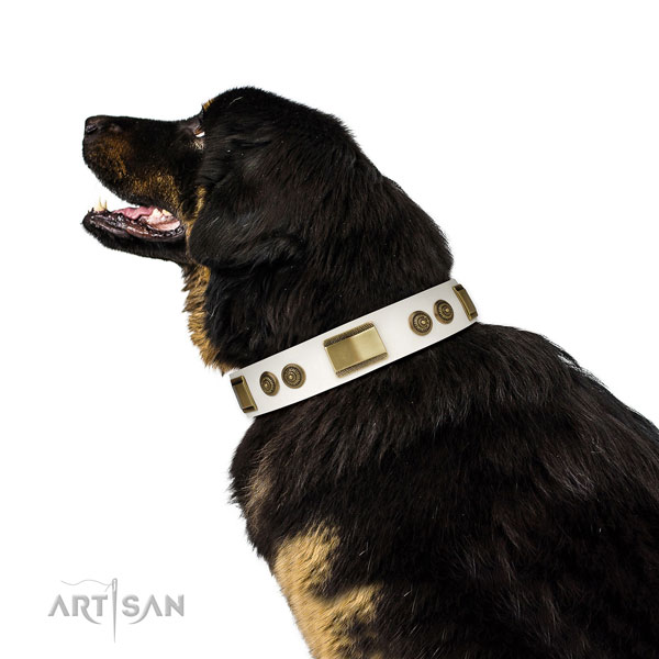 Top rate handy use dog collar of leather