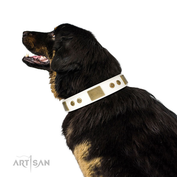 High quality comfortable wearing dog collar of genuine leather
