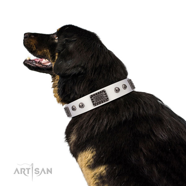 Easy wearing natural genuine leather collar for your impressive dog